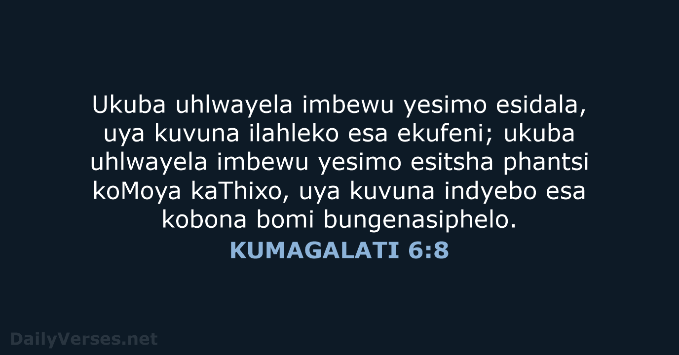KUMAGALATI 6:8 - XHO96