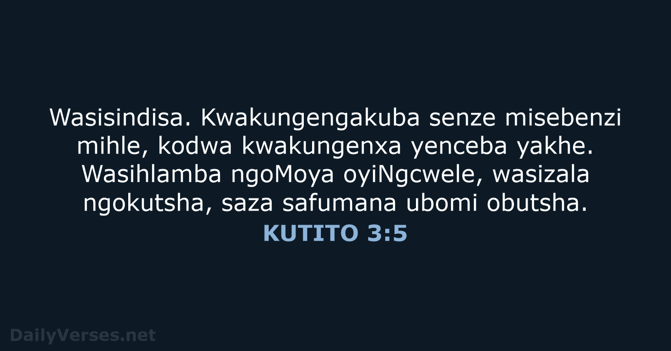 KUTITO 3:5 - XHO96