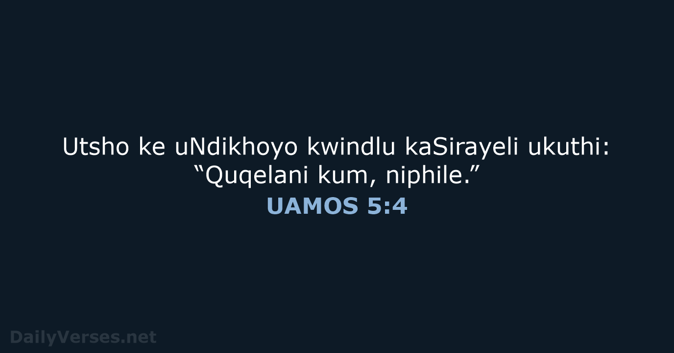 Utsho ke uNdikhoyo kwindlu kaSirayeli ukuthi: “Quqelani kum, niphile.” UAMOS 5:4