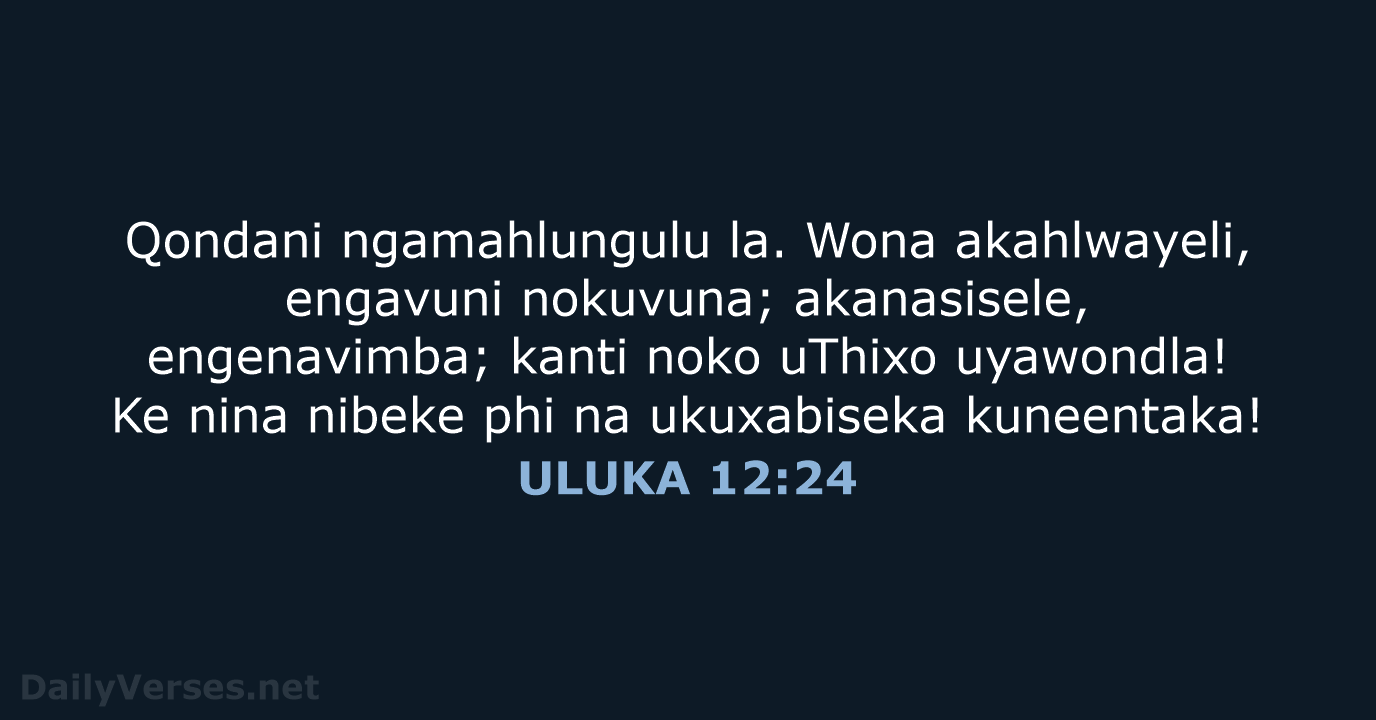 ULUKA 12:24 - XHO96