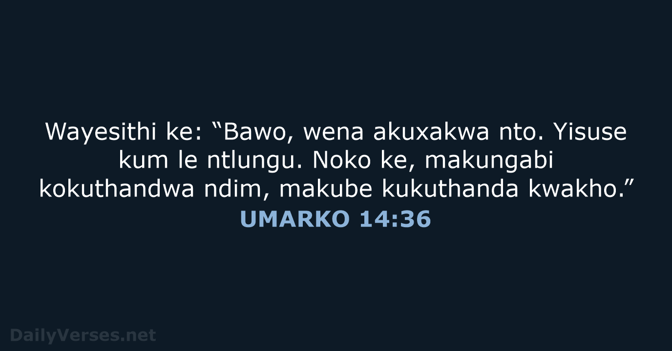 UMARKO 14:36 - XHO96