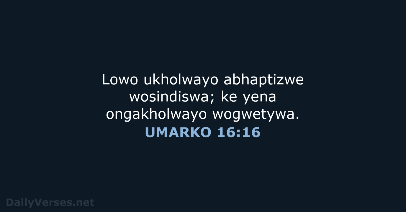 UMARKO 16:16 - XHO96