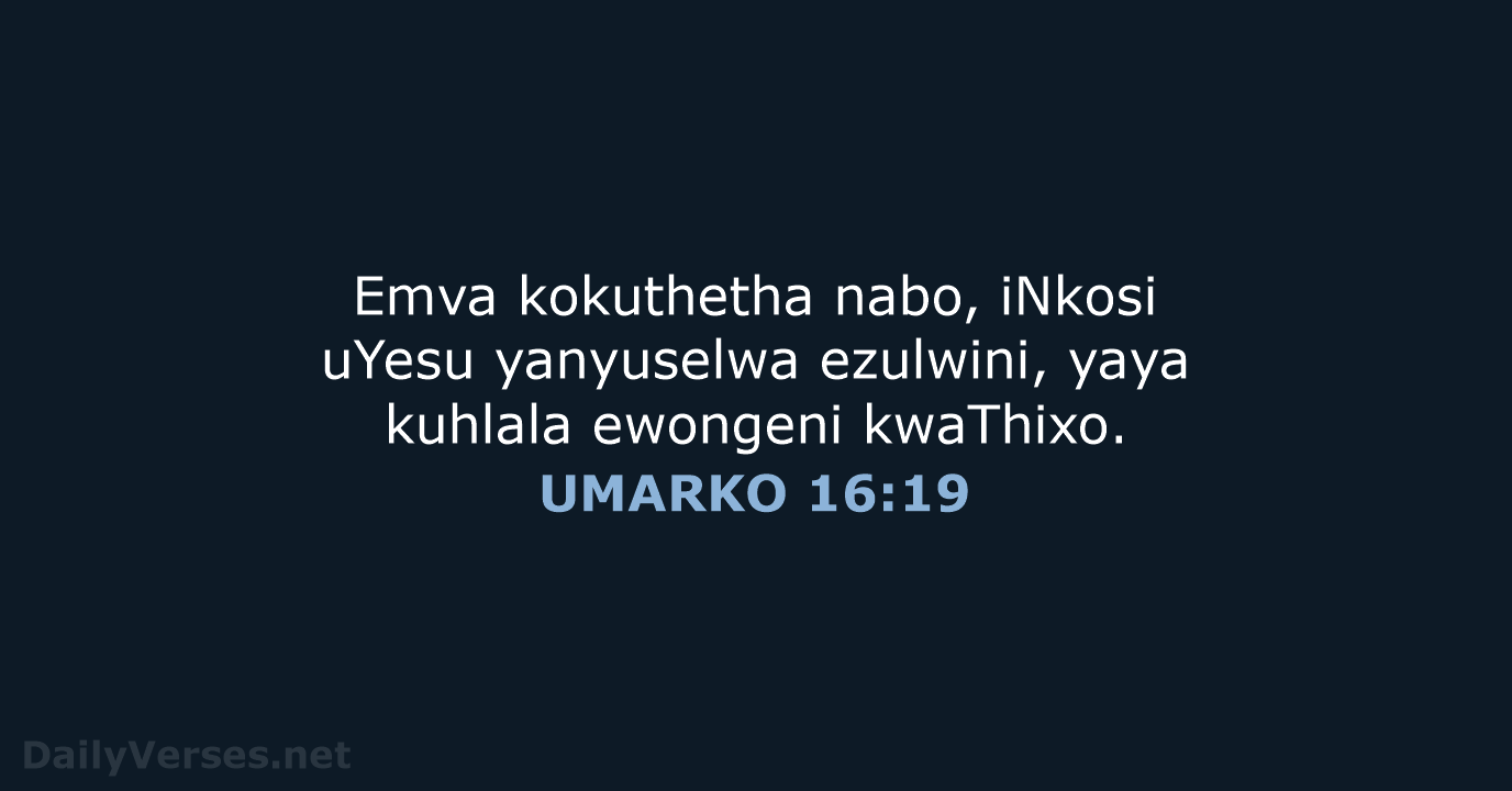 UMARKO 16:19 - XHO96