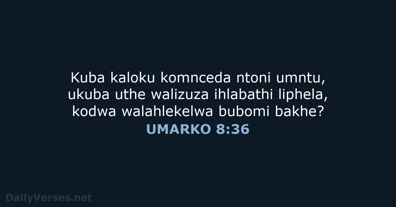 UMARKO 8:36 - XHO96