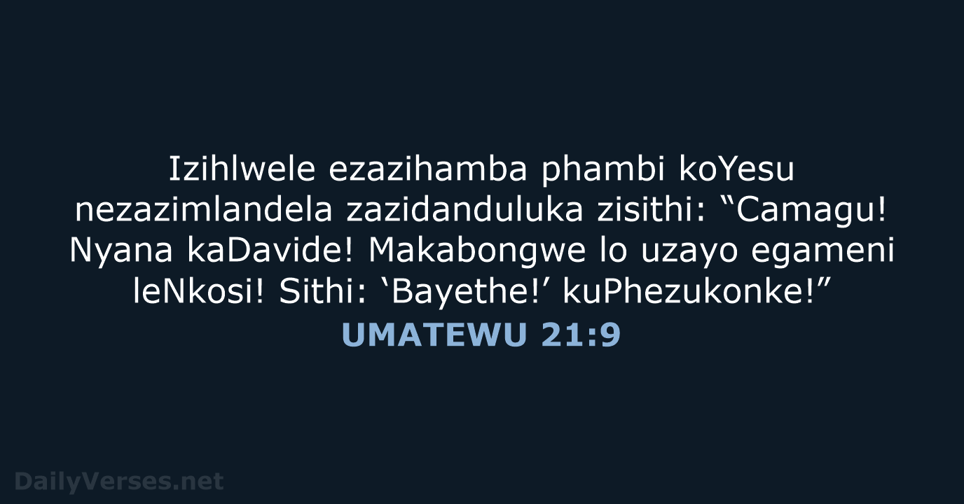 Izihlwele ezazihamba phambi koYesu nezazimlandela zazidanduluka zisithi: “Camagu! Nyana kaDavide! Makabongwe lo… UMATEWU 21:9