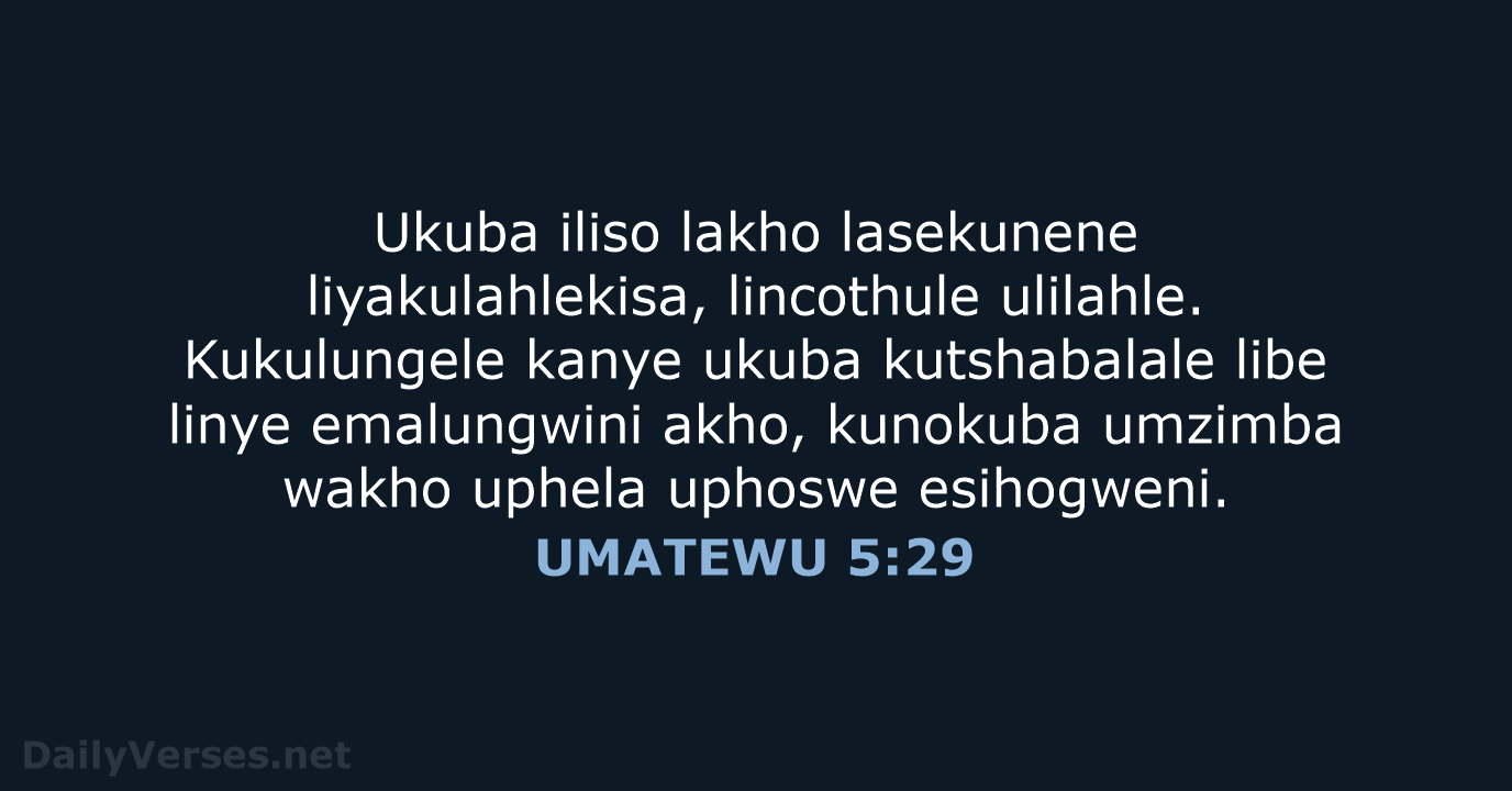 UMATEWU 5:29 - XHO96