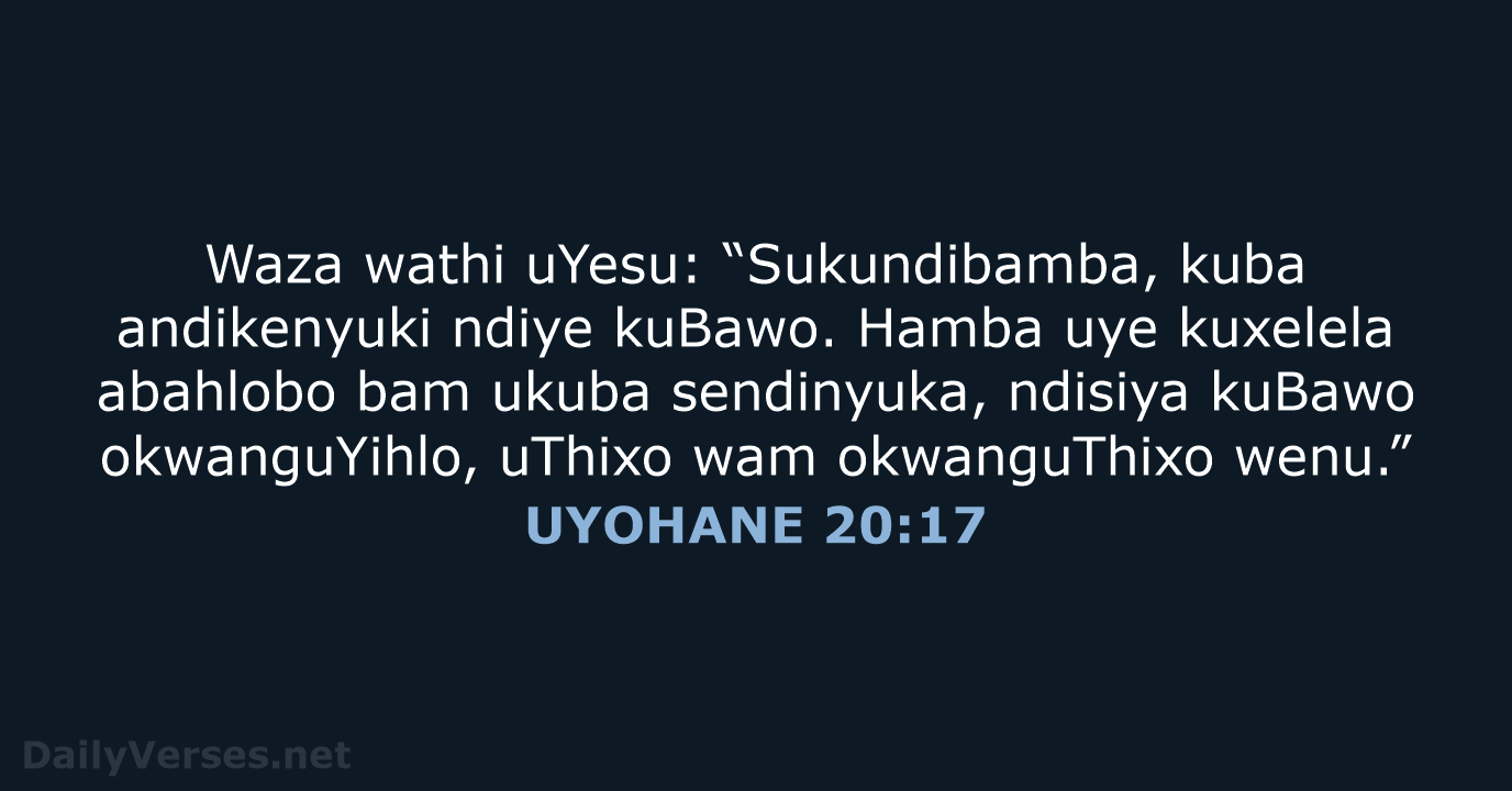 UYOHANE 20:17 - XHO96