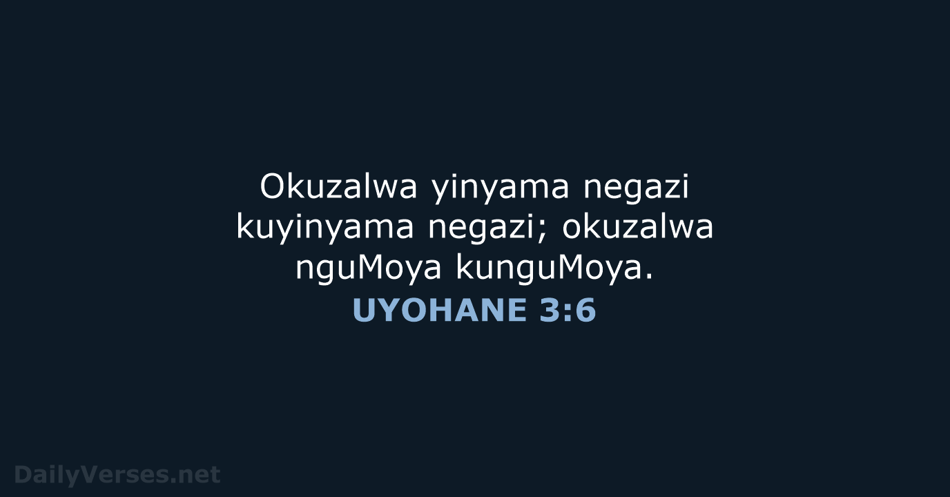 Okuzalwa yinyama negazi kuyinyama negazi; okuzalwa nguMoya kunguMoya. UYOHANE 3:6