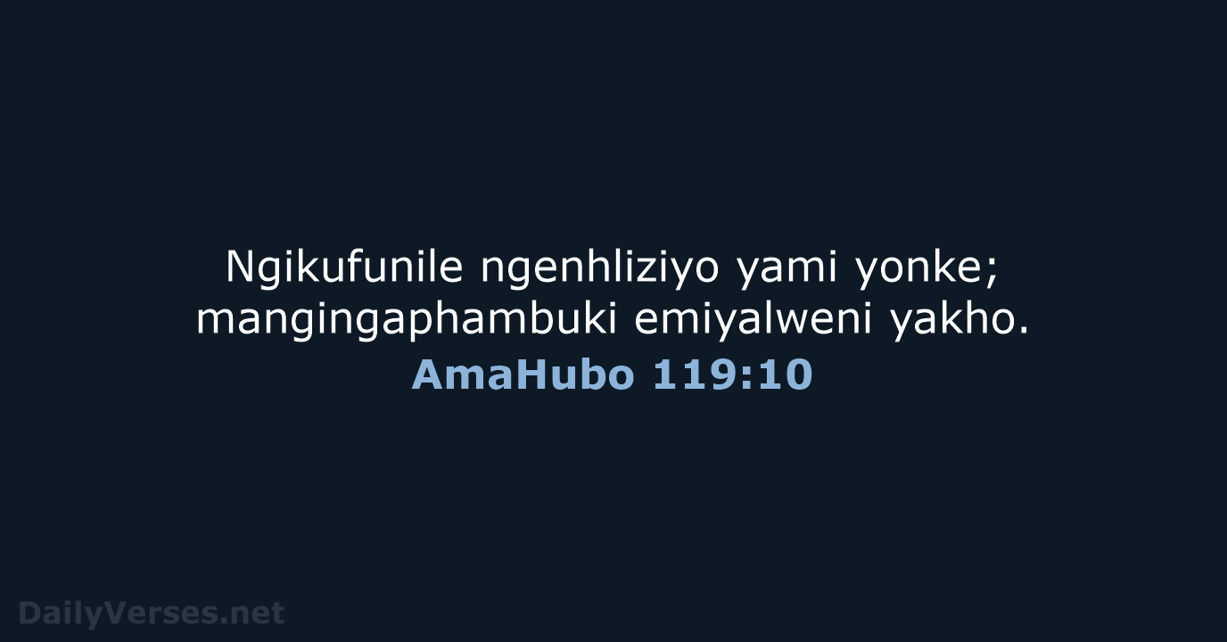 AmaHubo 119:10 - ZUL59