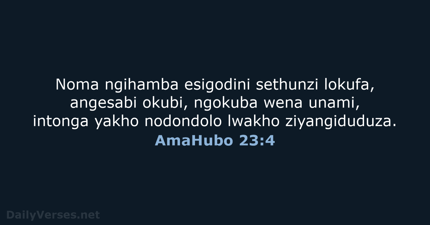 AmaHubo 23:4 - ZUL59