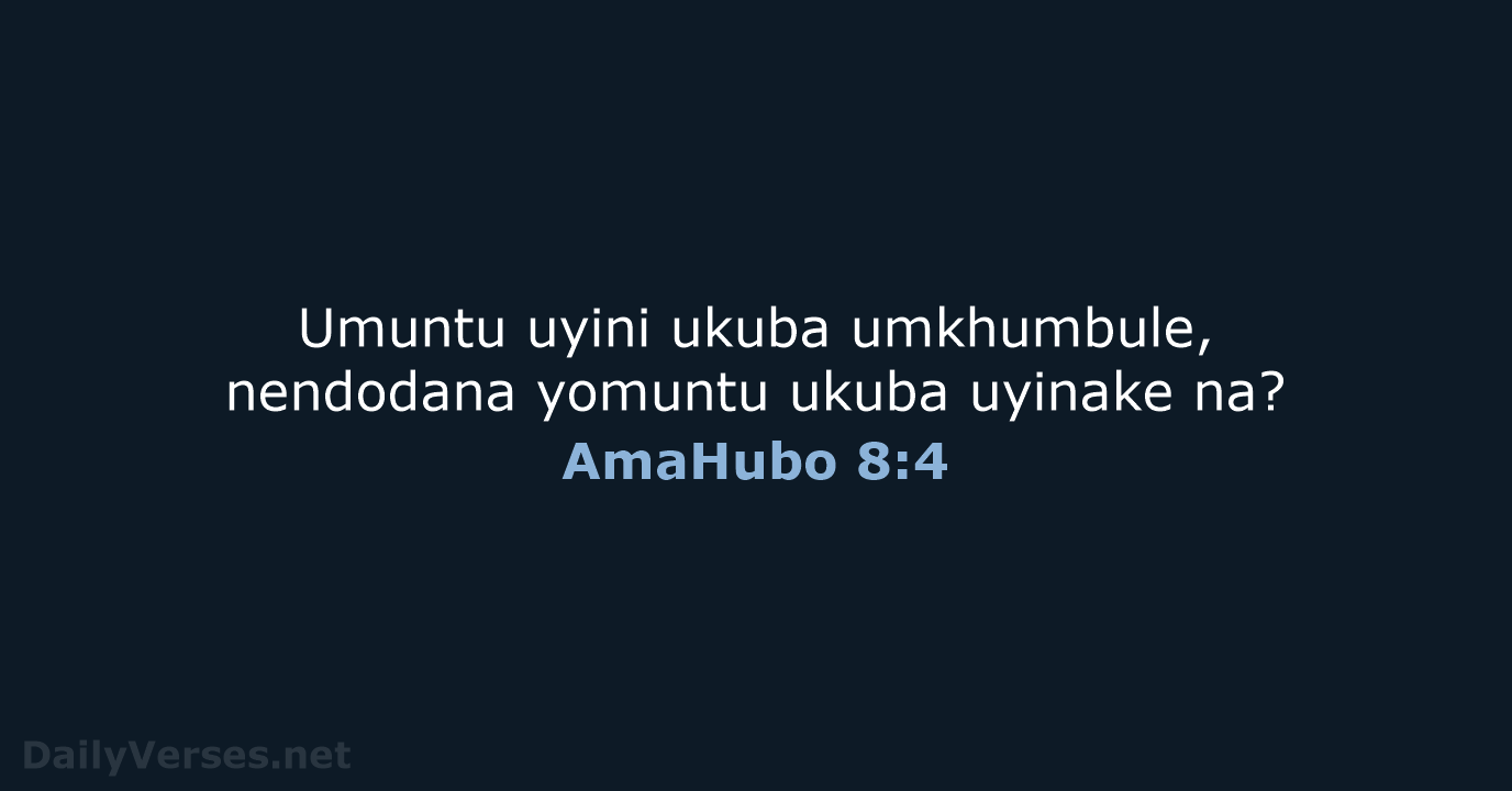AmaHubo 8:4 - ZUL59