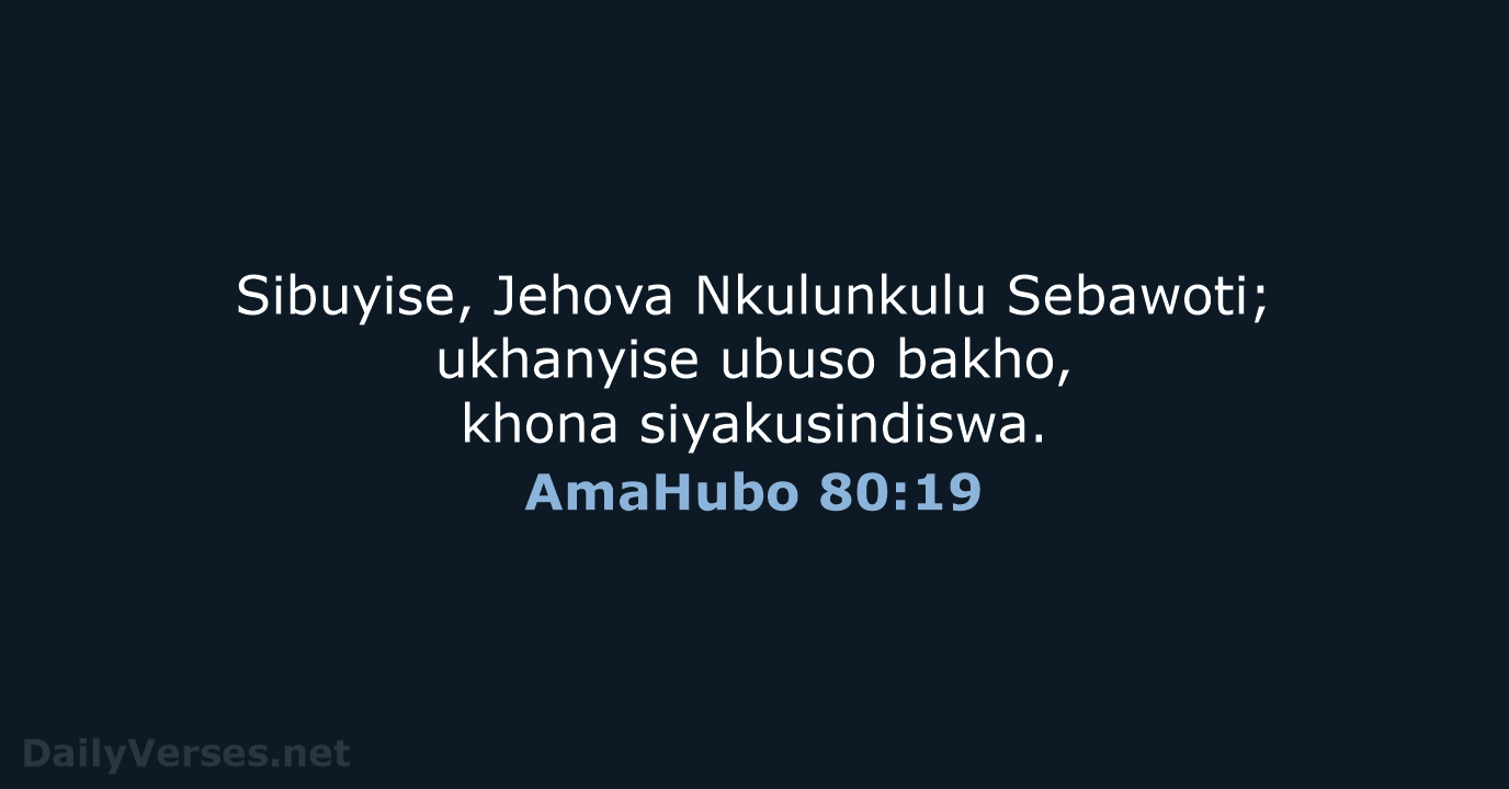 AmaHubo 80:19 - ZUL59
