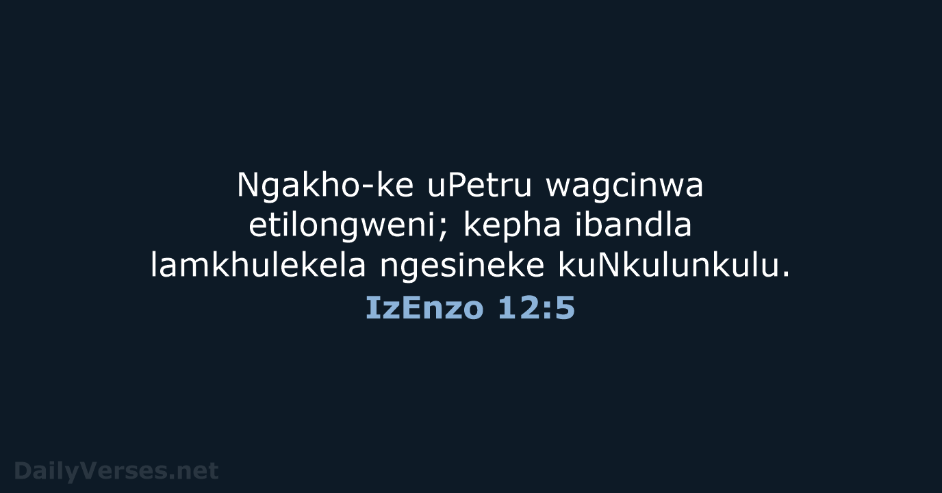 IzEnzo 12:5 - ZUL59