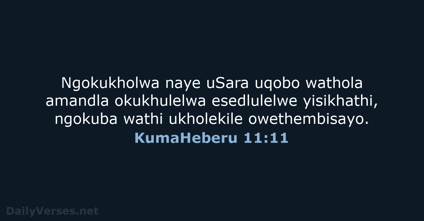KumaHeberu 11:11 - ZUL59