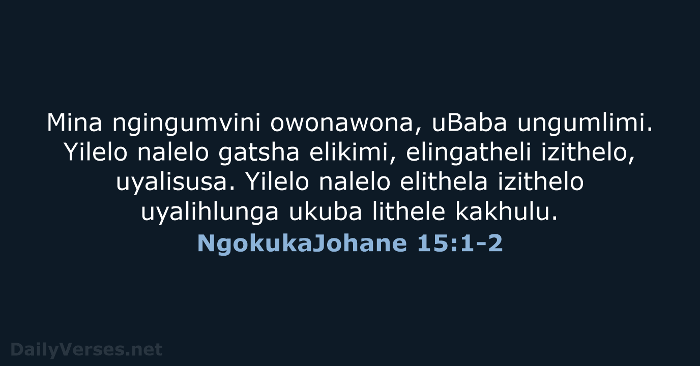 NgokukaJohane 15:1-2 - ZUL59