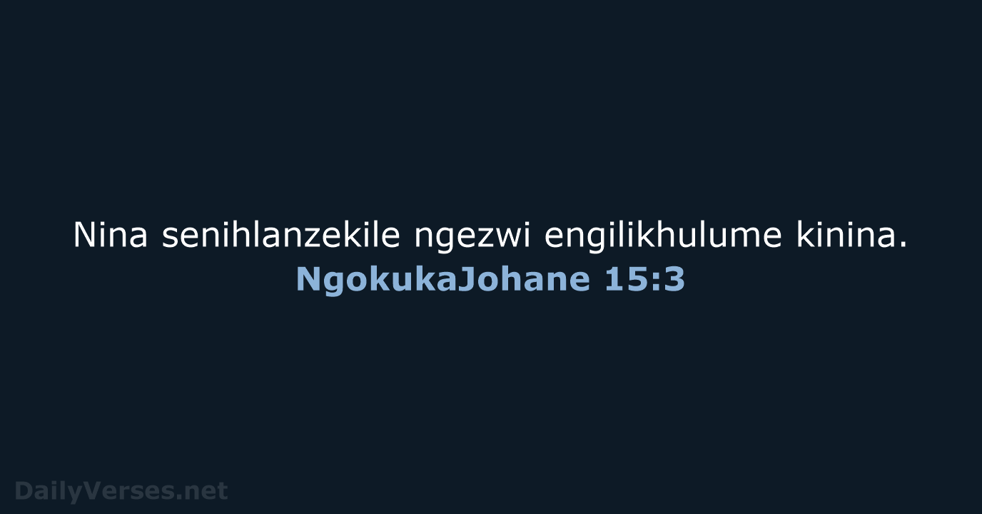 NgokukaJohane 15:3 - ZUL59