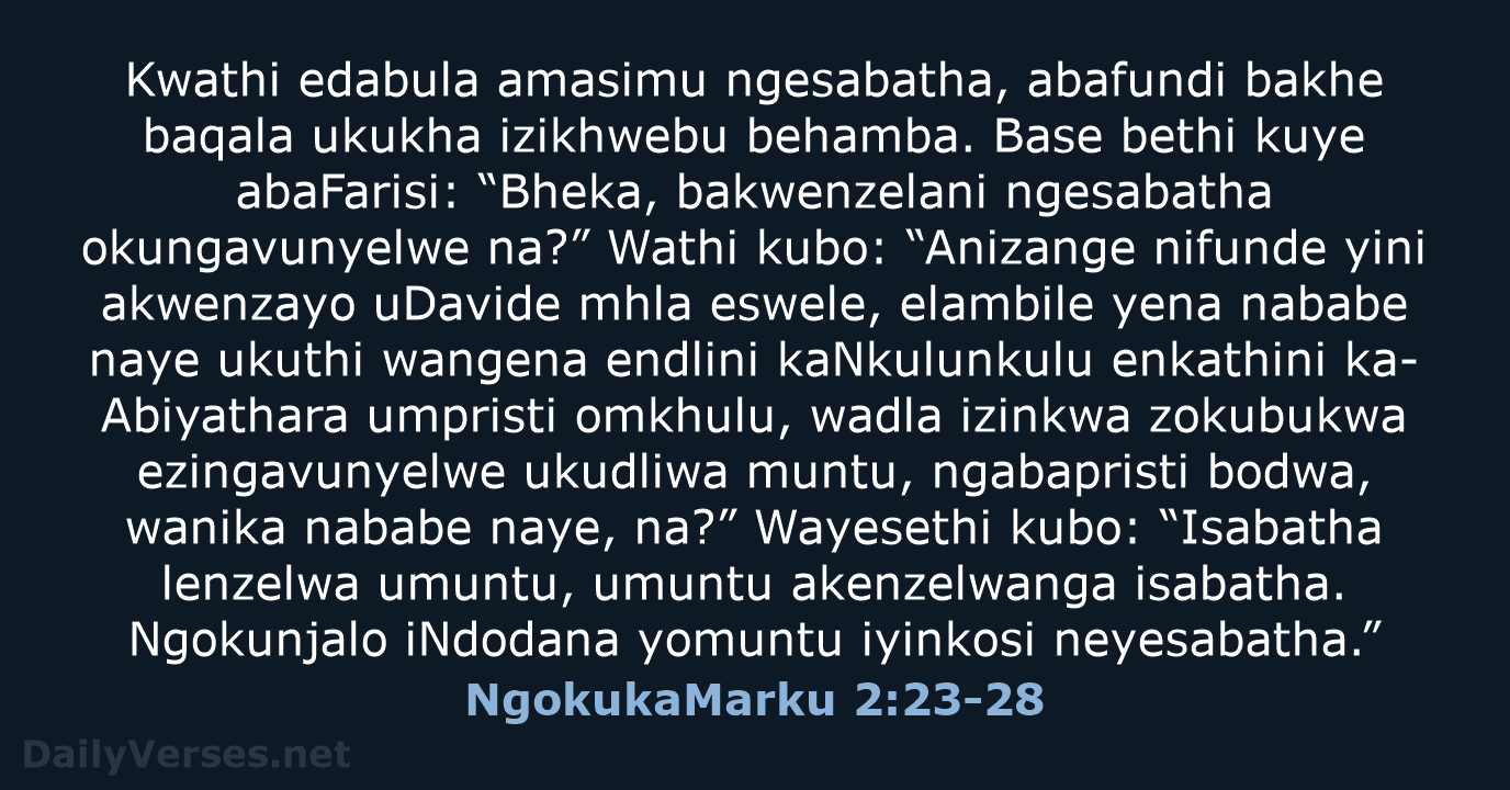NgokukaMarku 2:23-28 - ZUL59