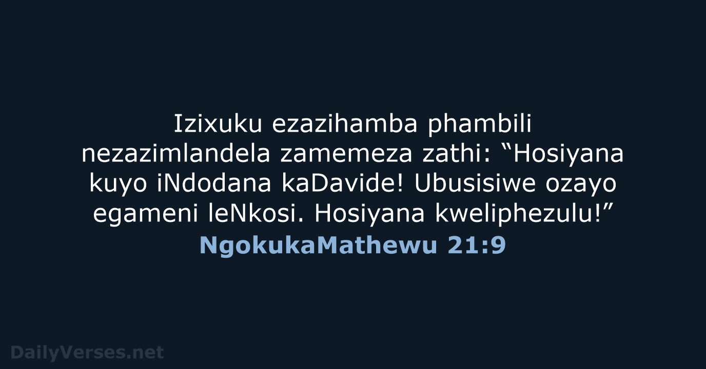 Izixuku ezazihamba phambili nezazimlandela zamemeza zathi: “Hosiyana kuyo iNdodana kaDavide! Ubusisiwe ozayo… NgokukaMathewu 21:9
