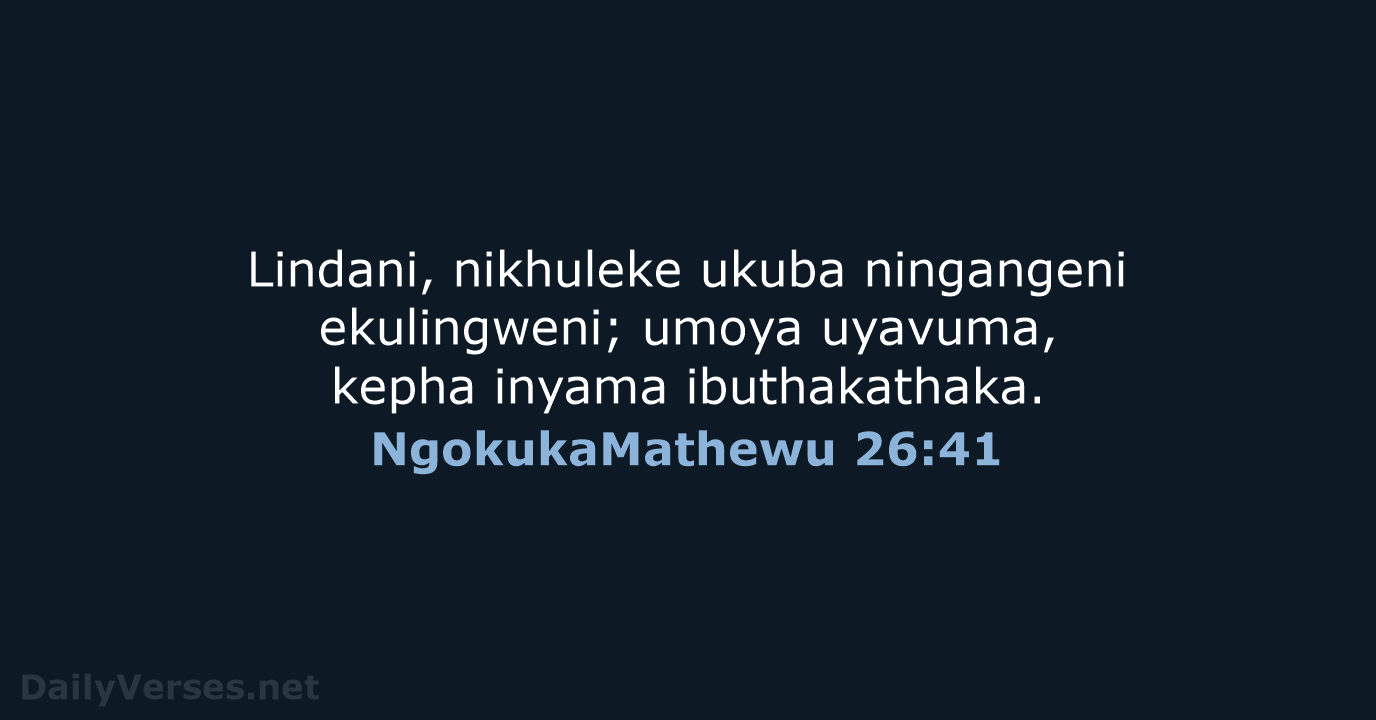 NgokukaMathewu 26:41 - ZUL59