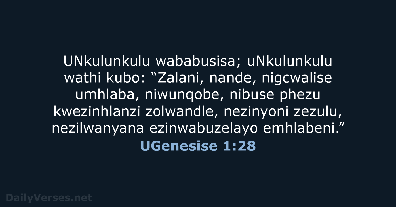 UGenesise 1:28 - ZUL59