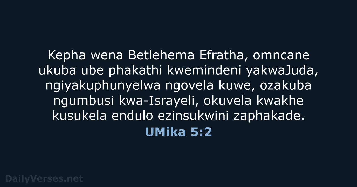 UMika 5:2 - ZUL59