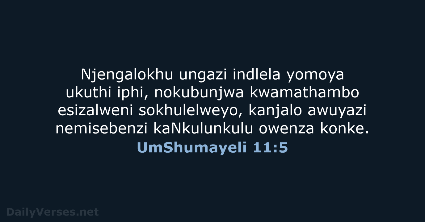 Njengalokhu ungazi indlela yomoya ukuthi iphi, nokubunjwa kwamathambo esizalweni sokhulelweyo, kanjalo awuyazi… UmShumayeli 11:5