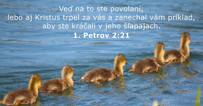 1. Petrov 2:21