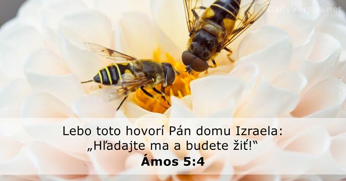 Lebo toto hovorí Pán domu Izraela: „Hľadajte ma a budete žiť!“ Ámos 5:4