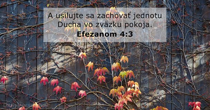 Efezanom 4:3