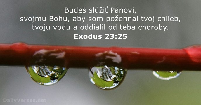 Exodus 23:25