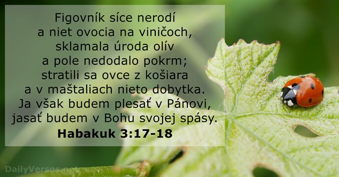 Figovník síce nerodí a niet ovocia na viničoch, sklamala úroda olív a… Habakuk 3:17-18