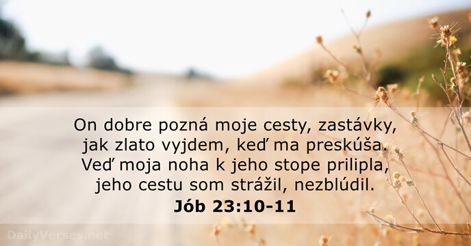 Jób 23:10-11