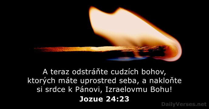 Jozue 24:23