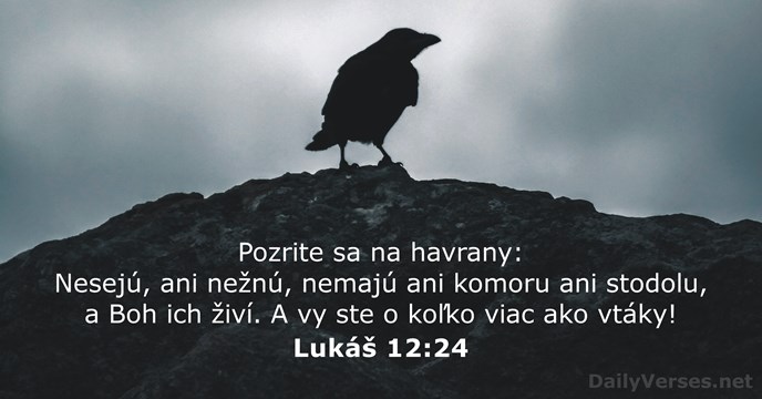 Lukáš 12:24