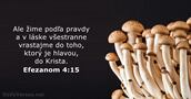 Efezanom 4:15