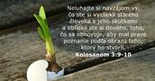 Kolosanom 3:9-10