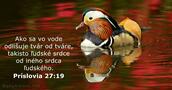 Príslovia 27:19