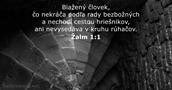 Žalmy 1:1