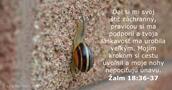 Žalmy 18:36-37