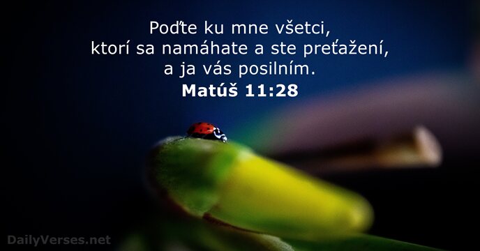 Matúš 11:28