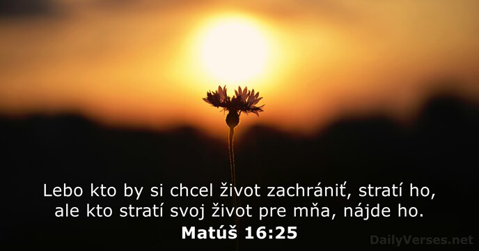 Matúš 16:25