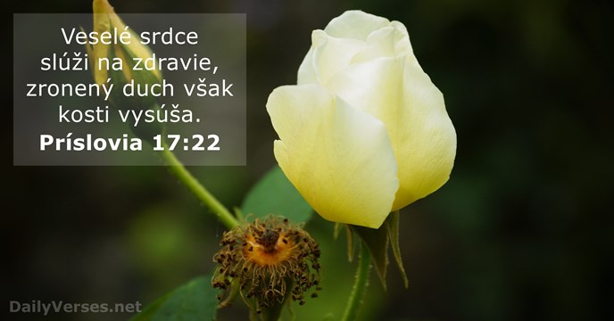 Príslovia 17:22