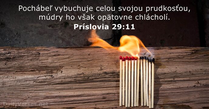 Príslovia 29:11