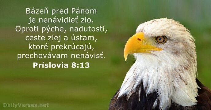 Príslovia 8:13