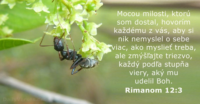 Rimanom 12:3