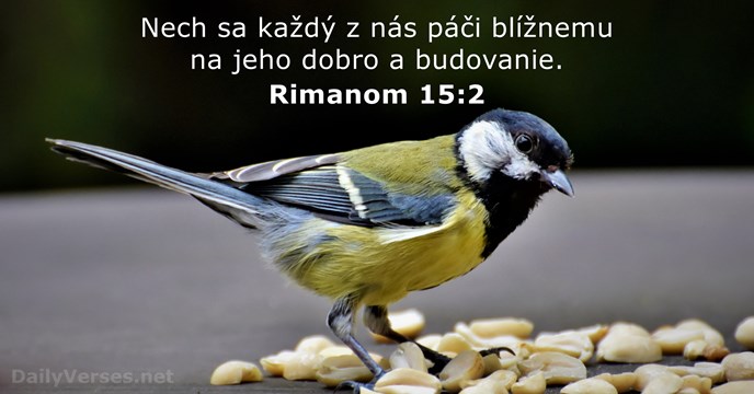 Rimanom 15:2