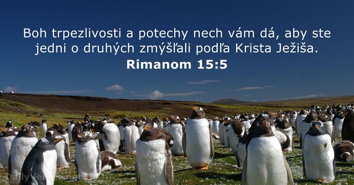Rimanom 15:5