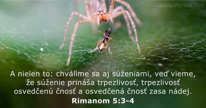Rimanom 5:3-4