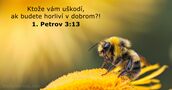 1. Petrov 3:13