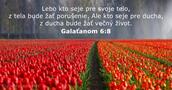 Galaťanom 6:8